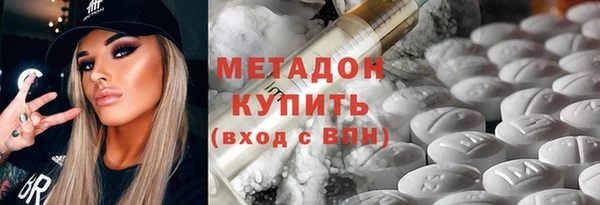 мдпв Инсар
