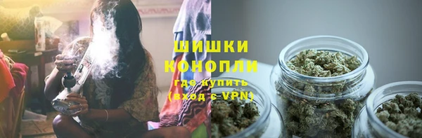 дурь Дмитриев