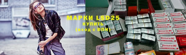крисы Дмитровск