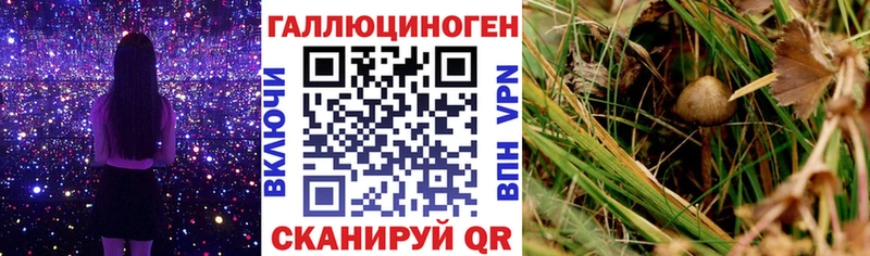 Купить закладки  Кулебаки  Галлюциногенные грибы Psilocybine cubensis 